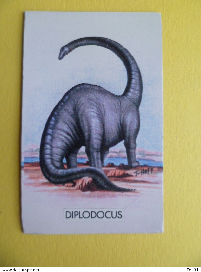 8 Magnets Animaux DINOSAURES - Tyranausaurus Parasaurolophus Diplodocus Stegosaurus Spinausaurus Styracosaurus - Dieren & Fauna