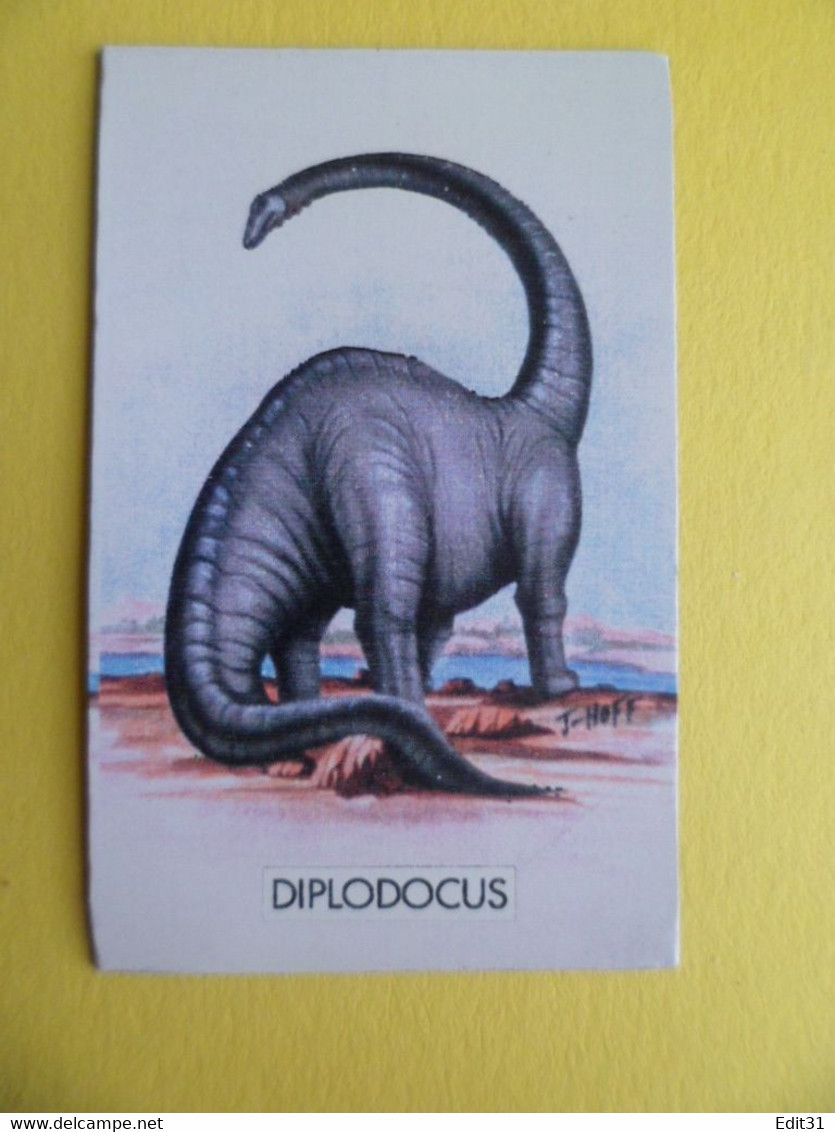 8 Magnets Animaux DINOSAURES - Tyranausaurus Parasaurolophus Diplodocus Stegosaurus Spinausaurus Styracosaurus - Tierwelt & Fauna