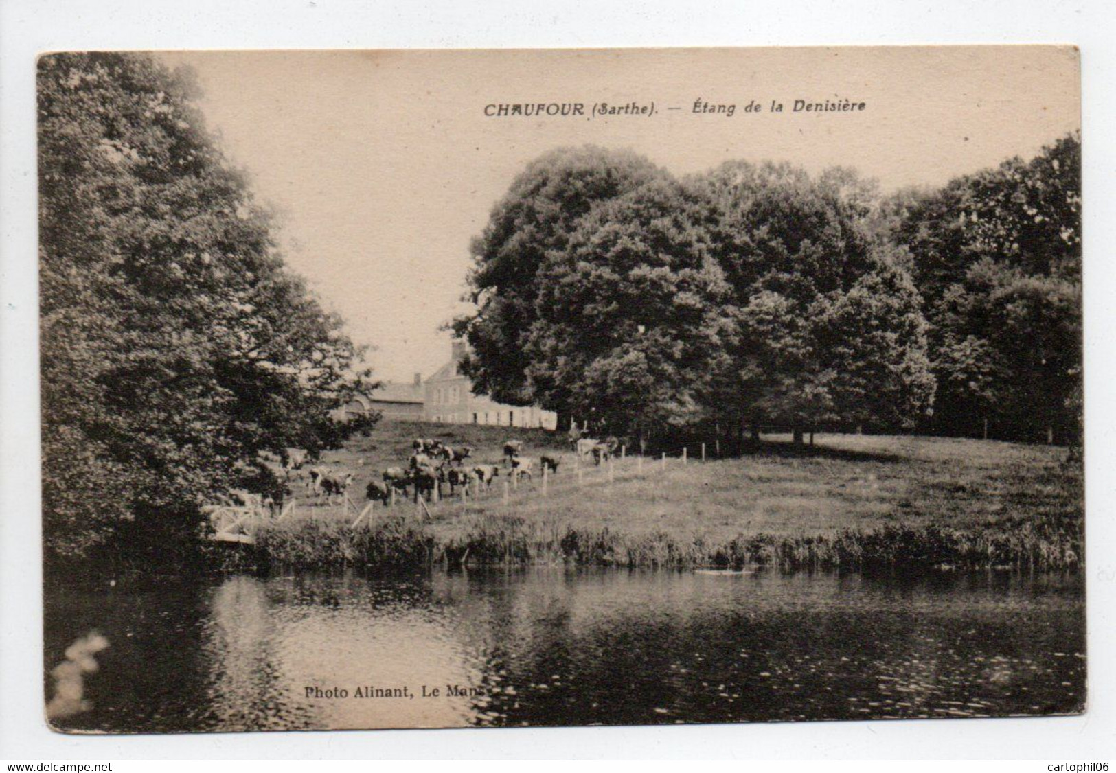 - CPA CHAUFOUR (72) - Etang De La Denisière - Photo Alinant - - Autres & Non Classés