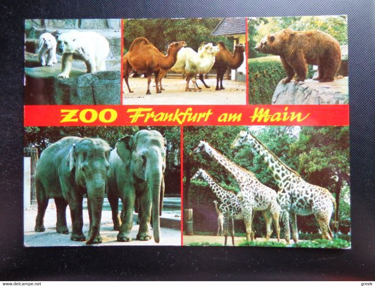 Zoo, Dierenpark, Tierpark / Zoo Frankfurt Am Main -> Beschreven - Otros & Sin Clasificación