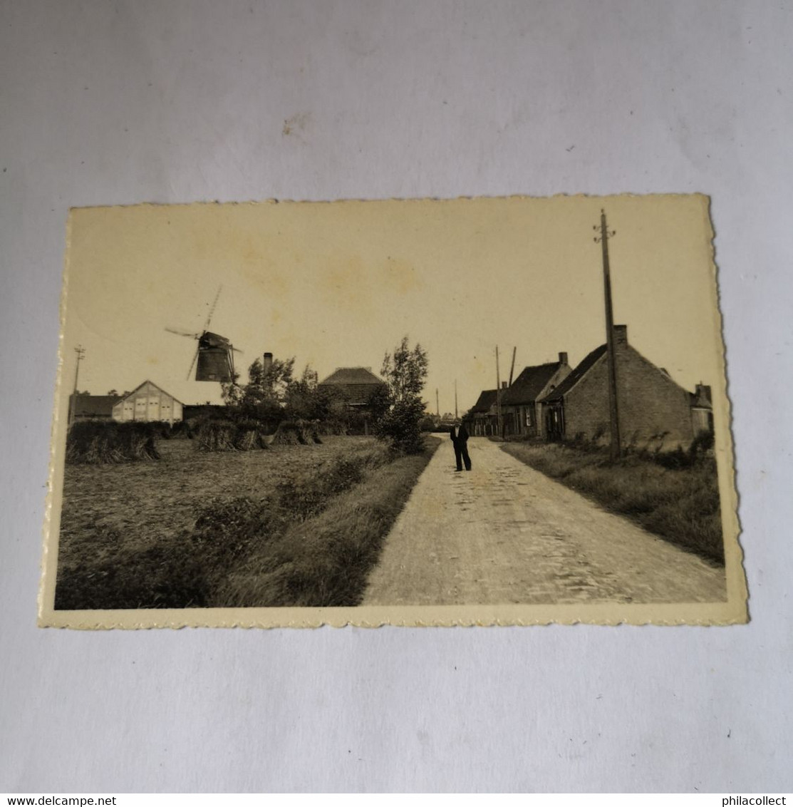 Alveringem (Westhoek) Lindemolenhoek (Molen Zicht) 1949 - Alveringem