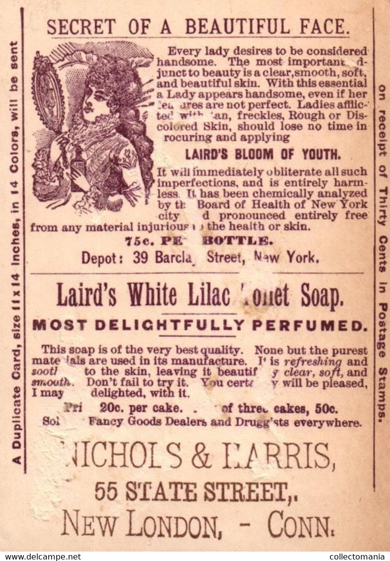 2 Cards Laird's Bloom Of Youth & White Lilac Soap - Autres & Non Classés