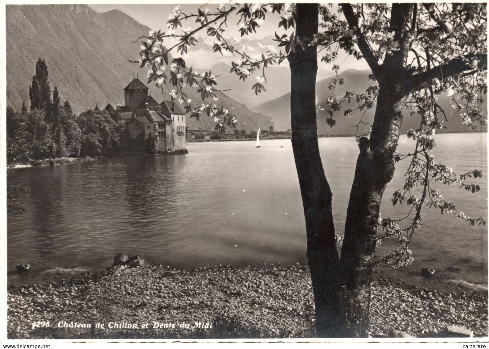SUISSE,SVIZZERA,SCHWEIZ,HELVETIA,VAUD,MONTREUX,,TERRITET, Riviera Paysd'enhaut,chateau Chillon,1935,CARTE PHOTO - Montreux