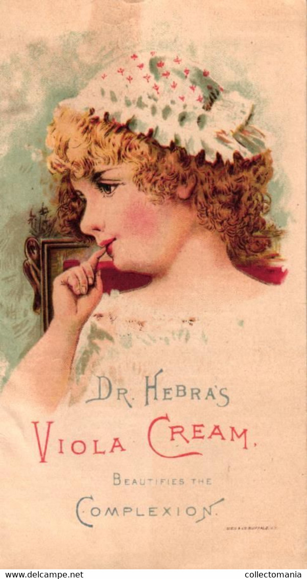 1 Card Folder Dr. Hebra's Viola Cream - Autres & Non Classés