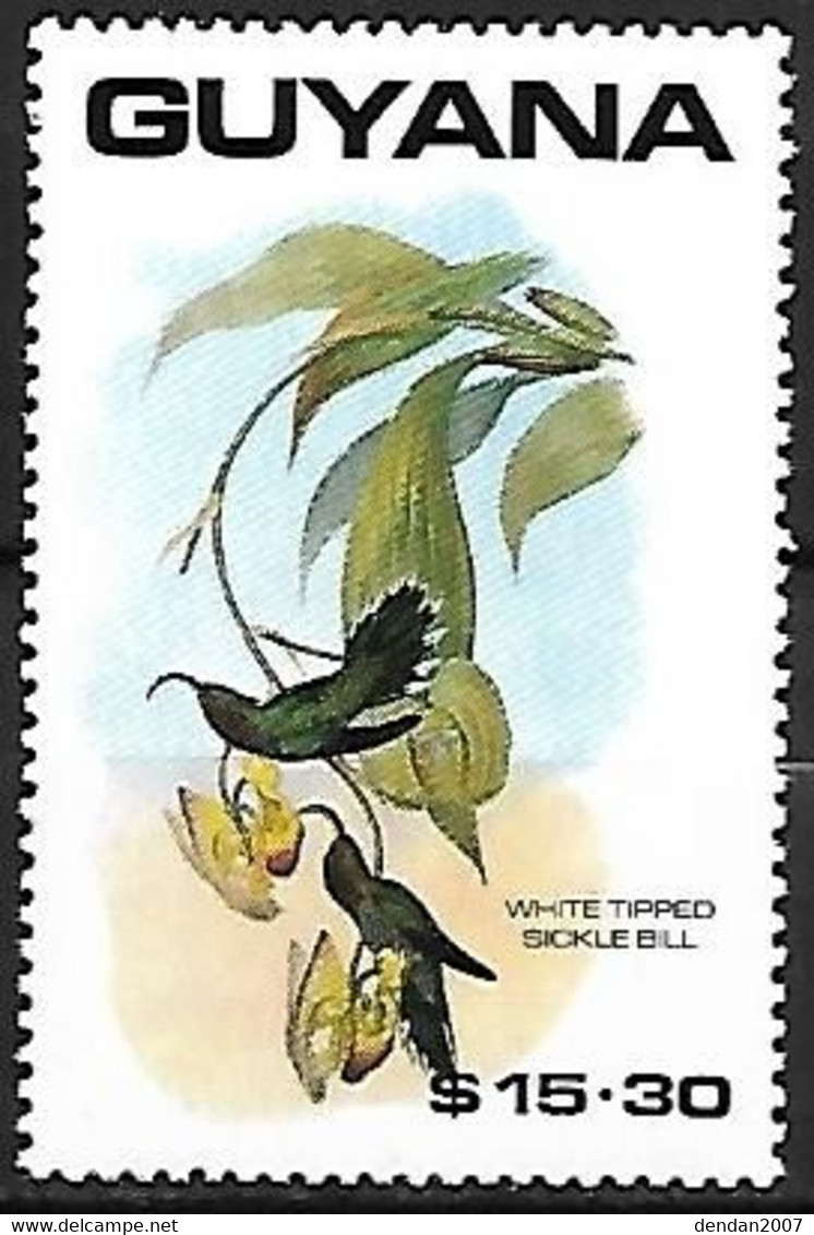 Guyana - MNH ** 1990 : Plate Of John Gould (1804 - 1881) :     White-tipped Sicklebill -   Eutoxeres Aquila - Segler & Kolibris