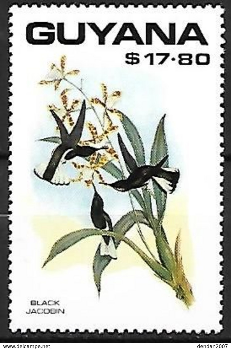 Guyana - MNH ** 1990 : Plate Of John Gould (1804 - 1881) :    Black Jacobin  -  Florisuga Fusca - Hummingbirds