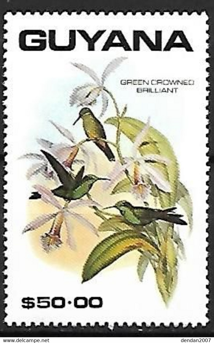 Guyana - MNH ** 1990 : Plate Of John Gould (1804 - 1881) :   Green-crowned Brilliant  -  Heliodoxa Jacula - Colibrì