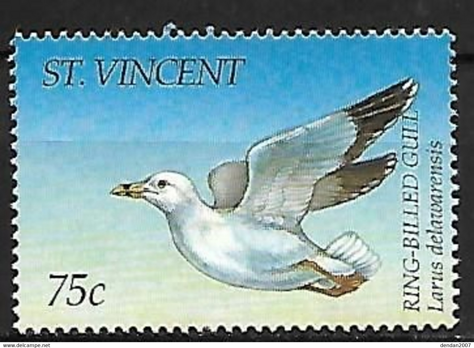 St Vincent - MNH ** 1995 :   Ring-billed Gull -   Larus Delawarensis - Seagulls