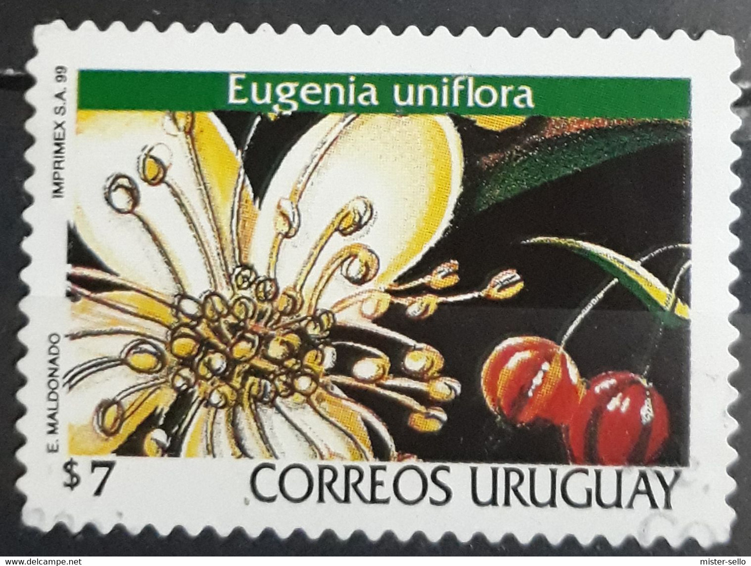 URUGUAY 1999 Flowers - Self-Adhesive. USADO - USED. - Uruguay