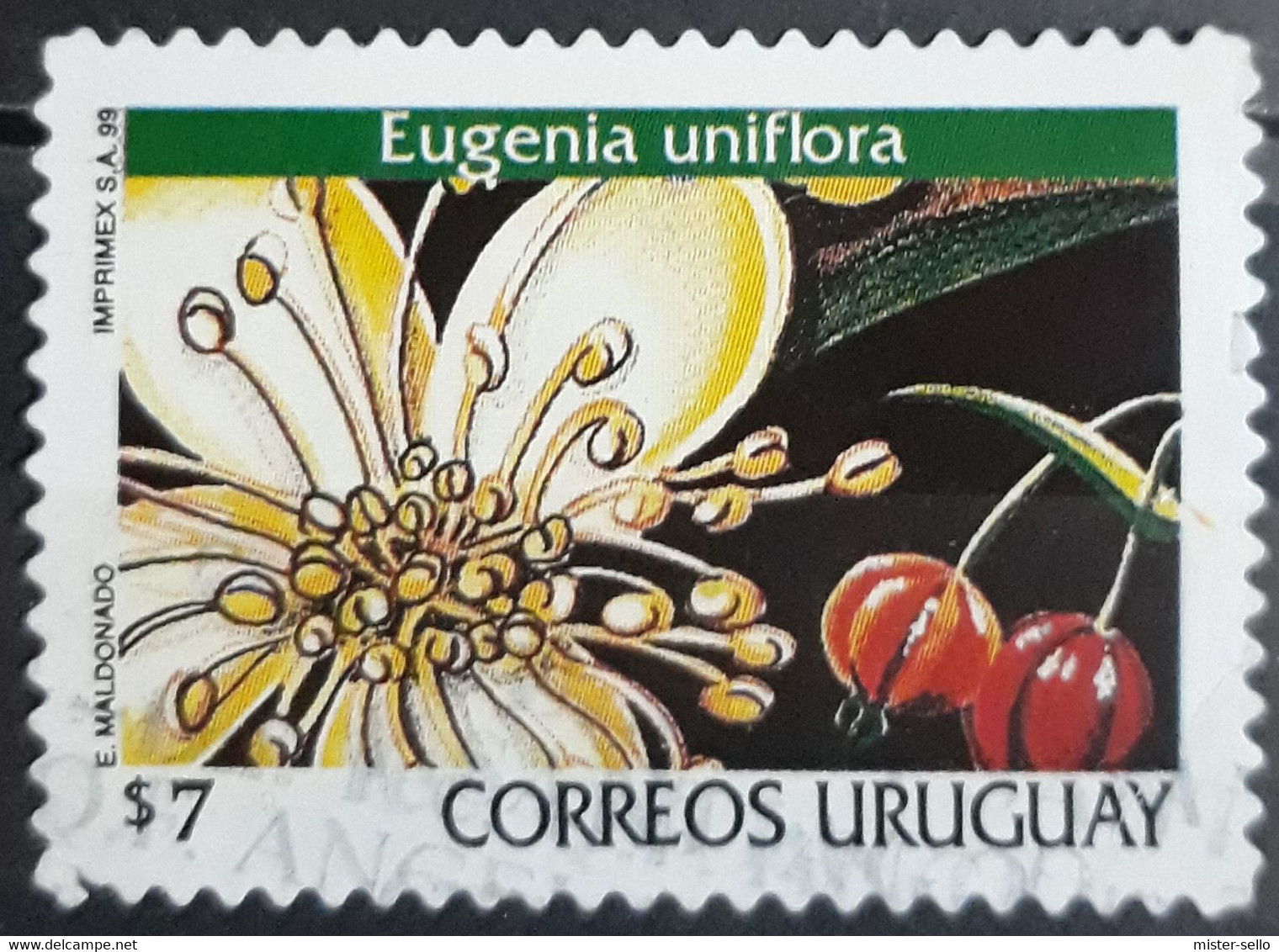 URUGUAY 1999 Flowers - Self-Adhesive. USADO - USED. - Uruguay