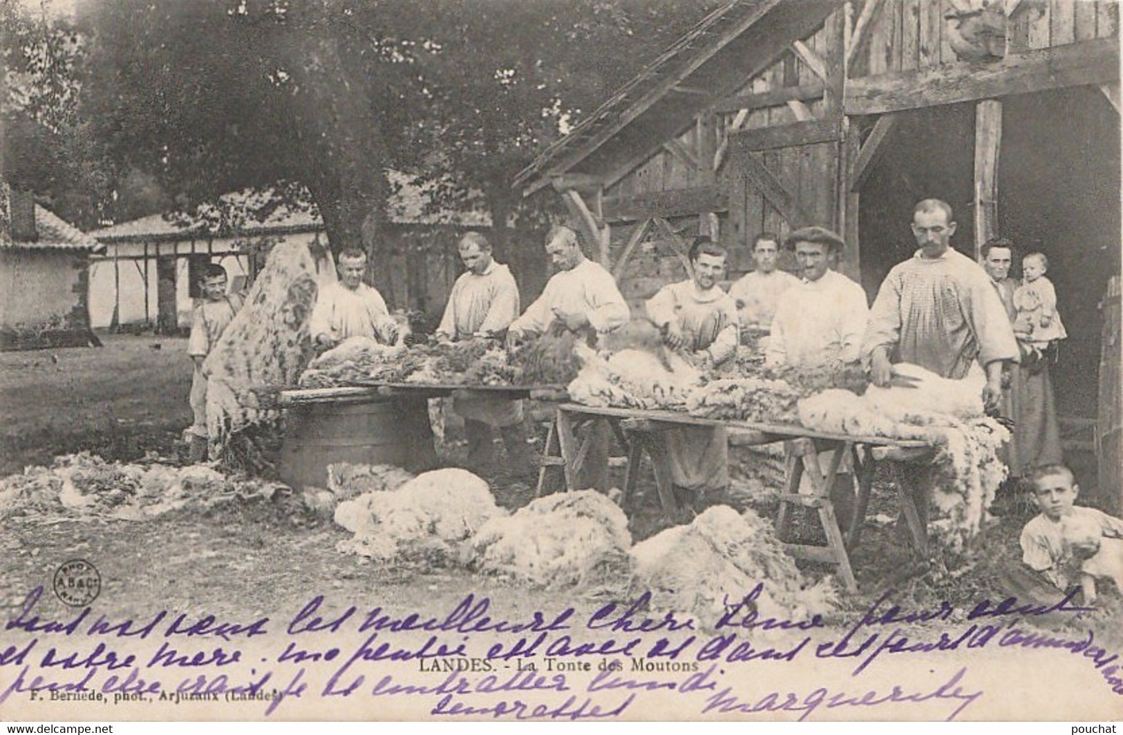 B3- 40) LANDES - LA TONTE DES MOUTONS - (TRES ANIMEE + OBLITERATION 1904 CONVOYEUR CAPTIEUX  LANGON -  2 SCANS) - Autres & Non Classés