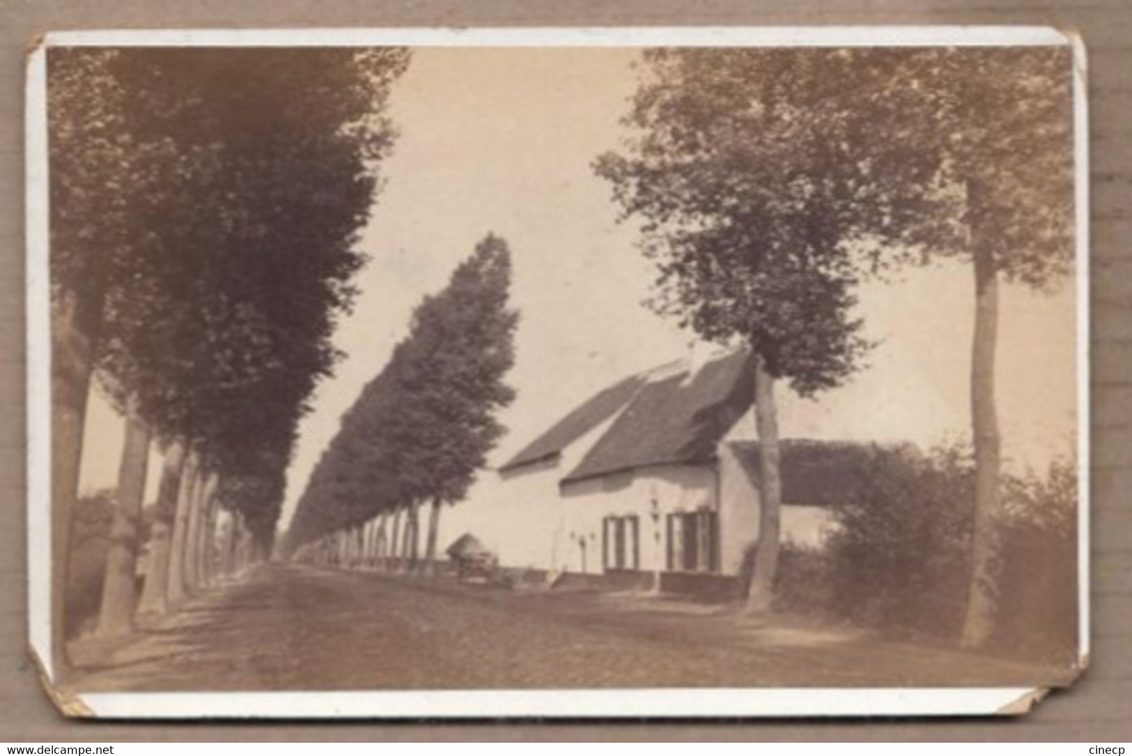 PHOTO BELGIQUE - LASNE - FERME De La Belle Alliance - TB PHOTO Fin 19 ème Siècle Route Et Maison Où NAPOLEON Dormit - Lasne