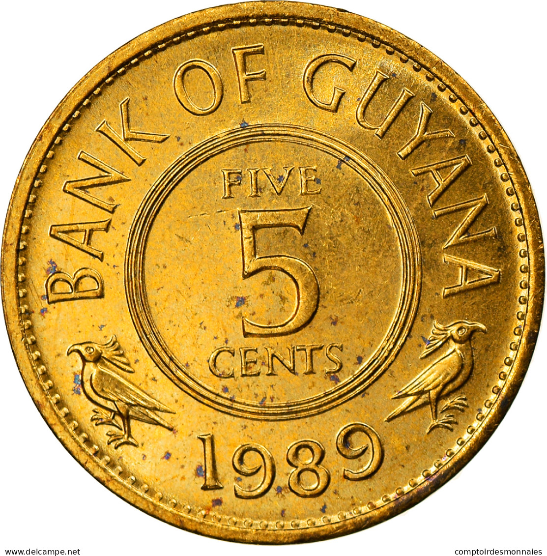 Monnaie, Guyana, 5 Cents, 1989, SPL, Nickel-brass, KM:32 - Guyana