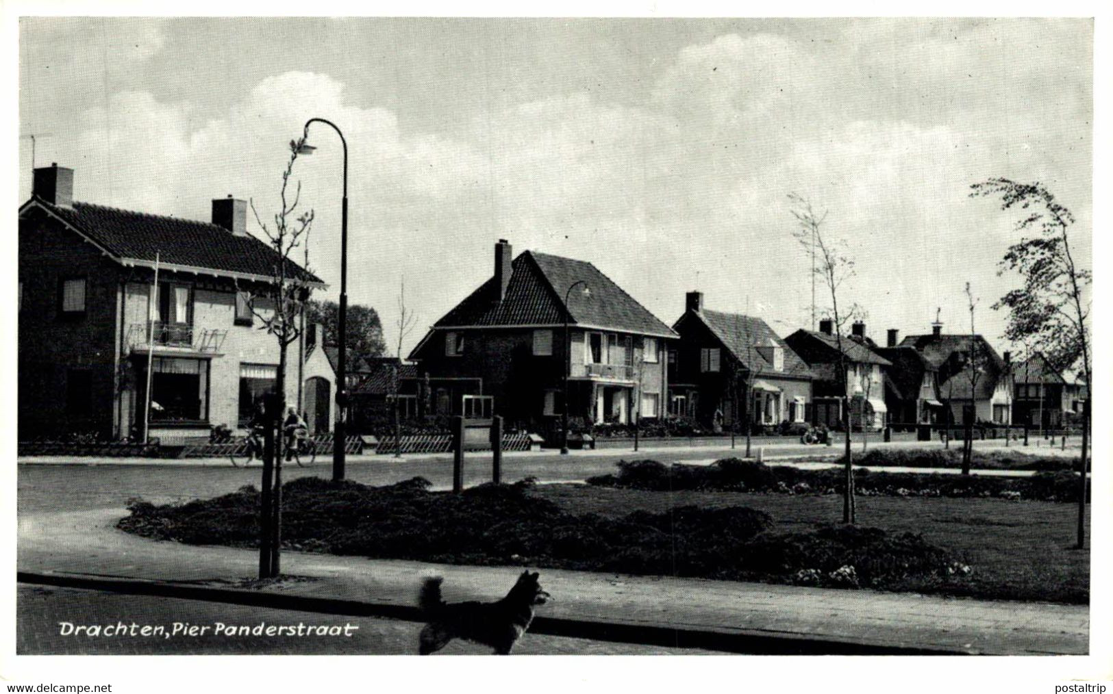 DRACHTEN  Pier Panderstraat  Friesland  HOLLAND HOLANDA NETHERLANDS - Drachten