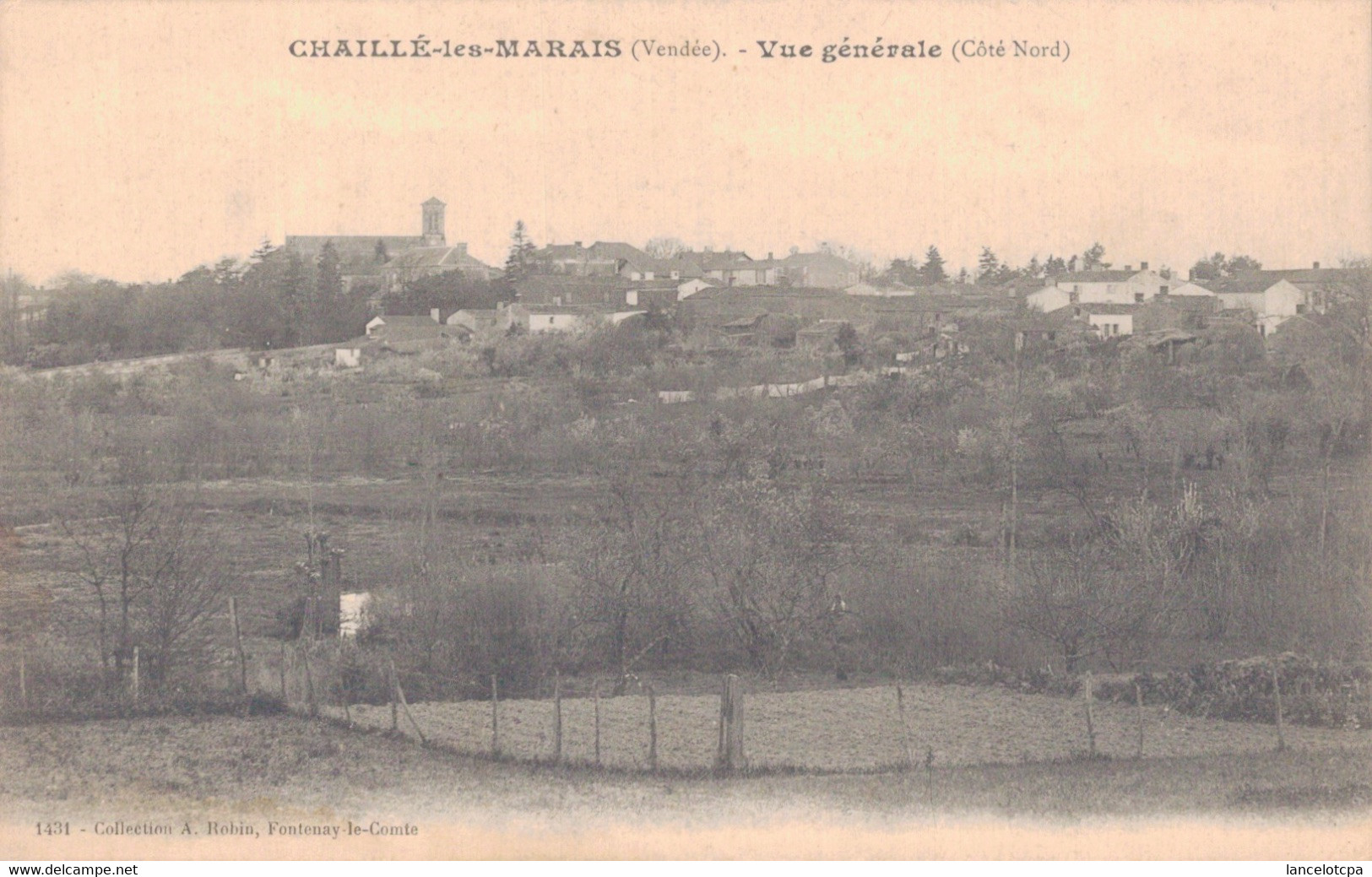 85 - CHAILLE LES MARAIS / VUE GENERALE Côté NORD - Chaille Les Marais