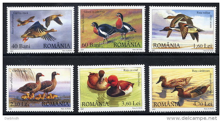 ROMANIA 2007 Waterfowl  Set Of 6  MNH / **.  Michel 6213-18 - Neufs