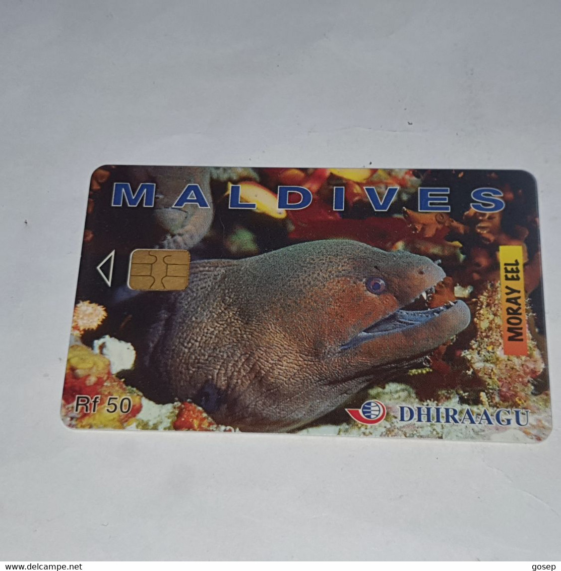 Maldives-(274MLDGIA(A)-MAL-C-02)-moray Eel-(11)-(RF50)-(274MLDGIA02000569)-used Card+1card Prepiad Free - Maldivas