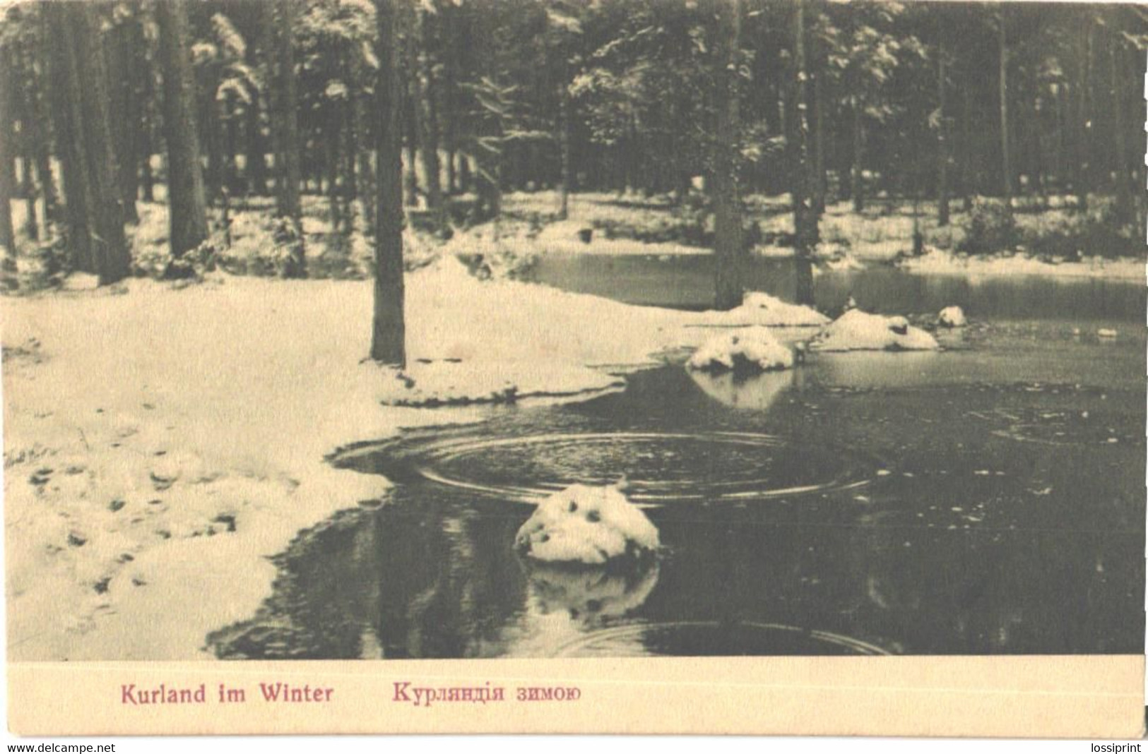 Latvia:Courland, Kurland At Winter, Pre 1914 - Letonia