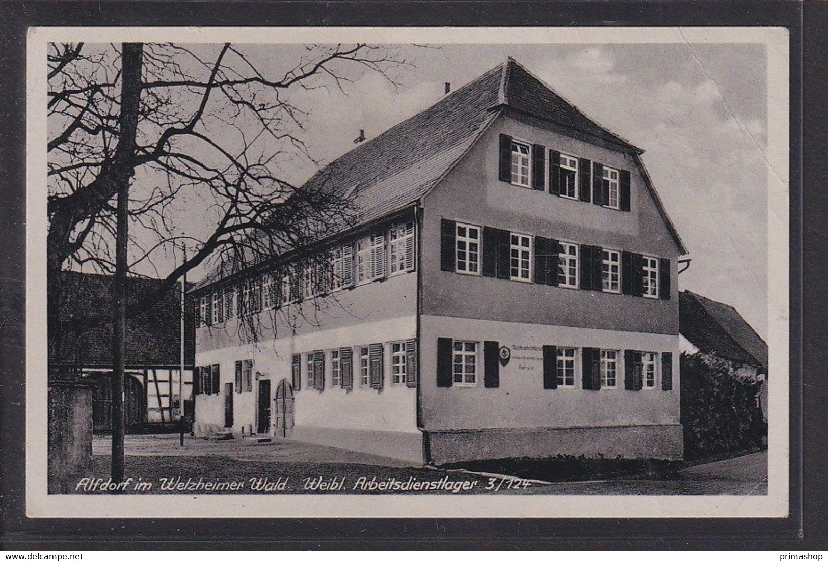 C3  /    Schwäbisch Gmünd  - Alfdorf  RAD Lager Um 1940 - Schwaebisch Gmünd