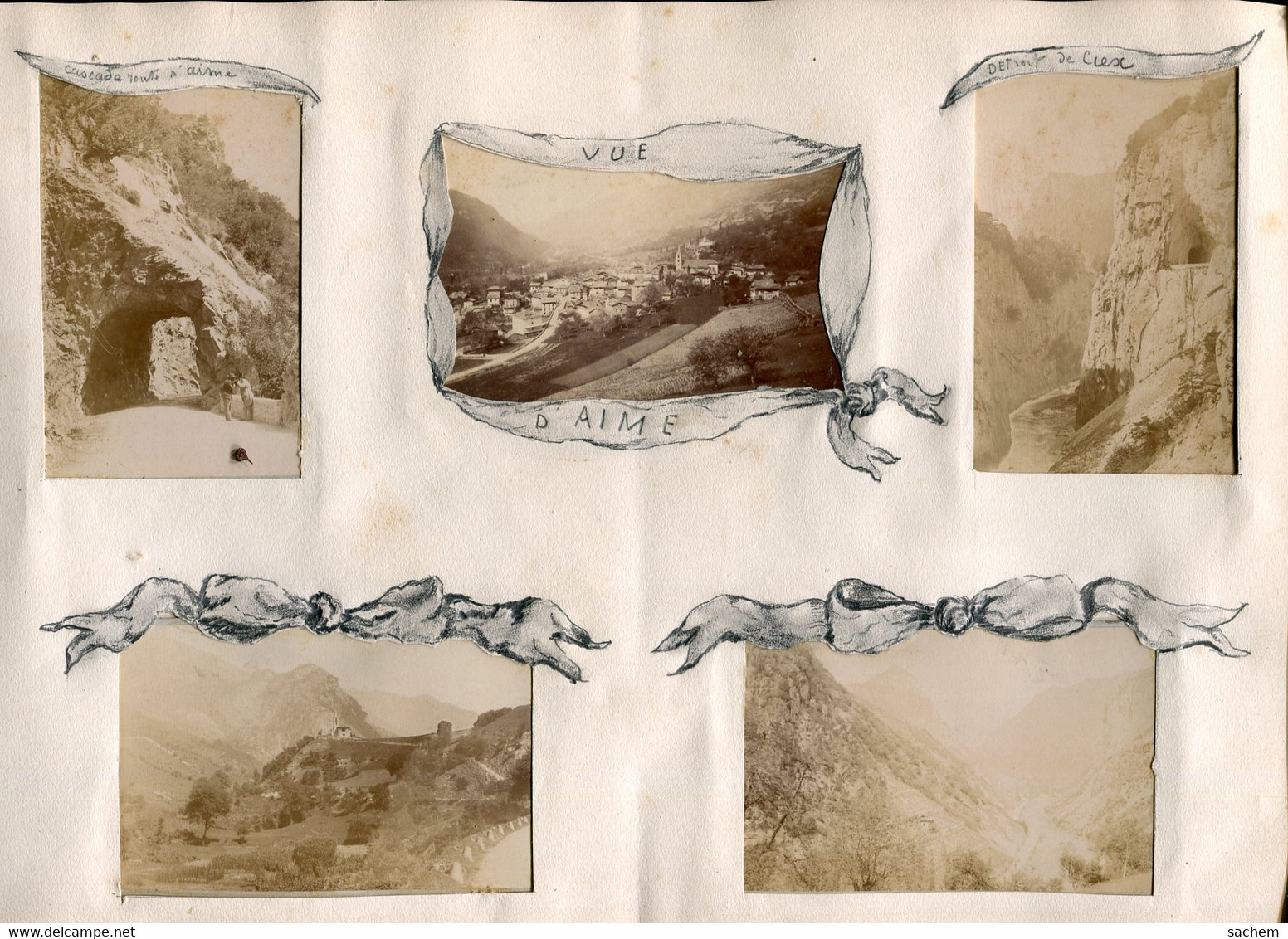 ALBUM 36 Photographies  1880  SAVOIE CHAMONIX et GENEVE agrémentée Végetaux et Fleurs des Régions