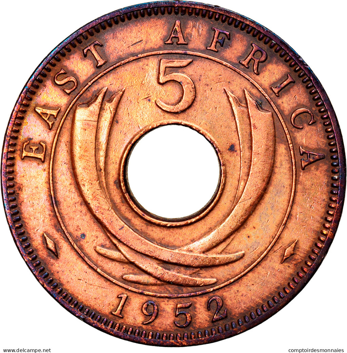 Monnaie, EAST AFRICA, George VI, 5 Cents, 1952, TTB, Bronze, KM:33 - East Africa & Uganda Protectorates