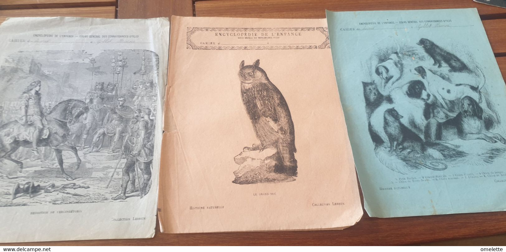 SERIE ENCYCLOPEDIE DE L ENFANCE /HISTOIRE/ANIMAUX/VILLE / 21 DOCUMENTS - Collezioni & Lotti