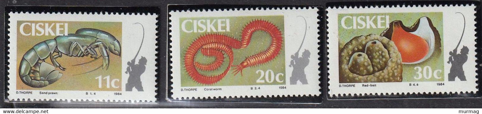 CISKEI (Afrique Du Sud) - Faune, Lapin, écureuil, Loup, Caracal - Y&T N° 30-33 - MNH - 1982 - Sonstige & Ohne Zuordnung