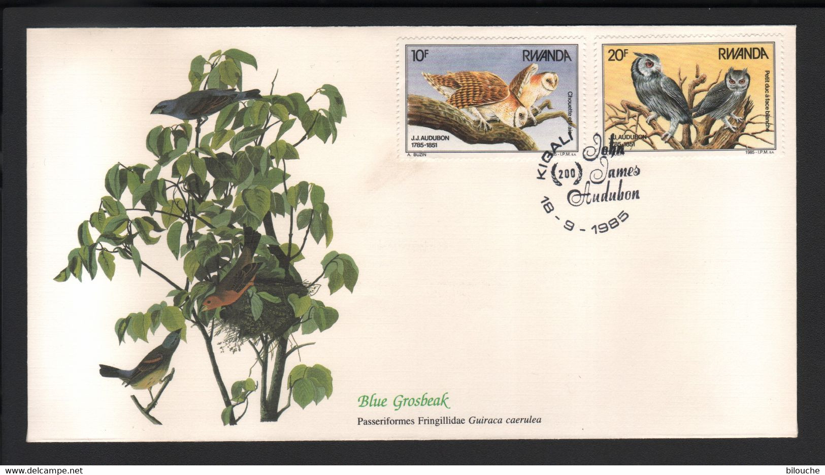 BUZIN / RWANDA 1985 / FDC FLEETWOOD / 200ème ANNIVERSAIRE DE LA NAISSANCE DE JJ AUDUBON / COB 1245 & 1246 - 1985-.. Vögel (Buzin)