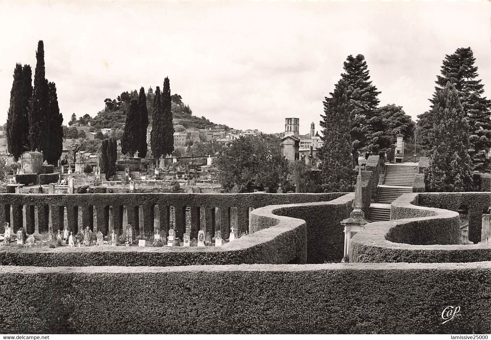 04 Forcalquier Vue Générale Du Cimetière Campo Santo - Forcalquier