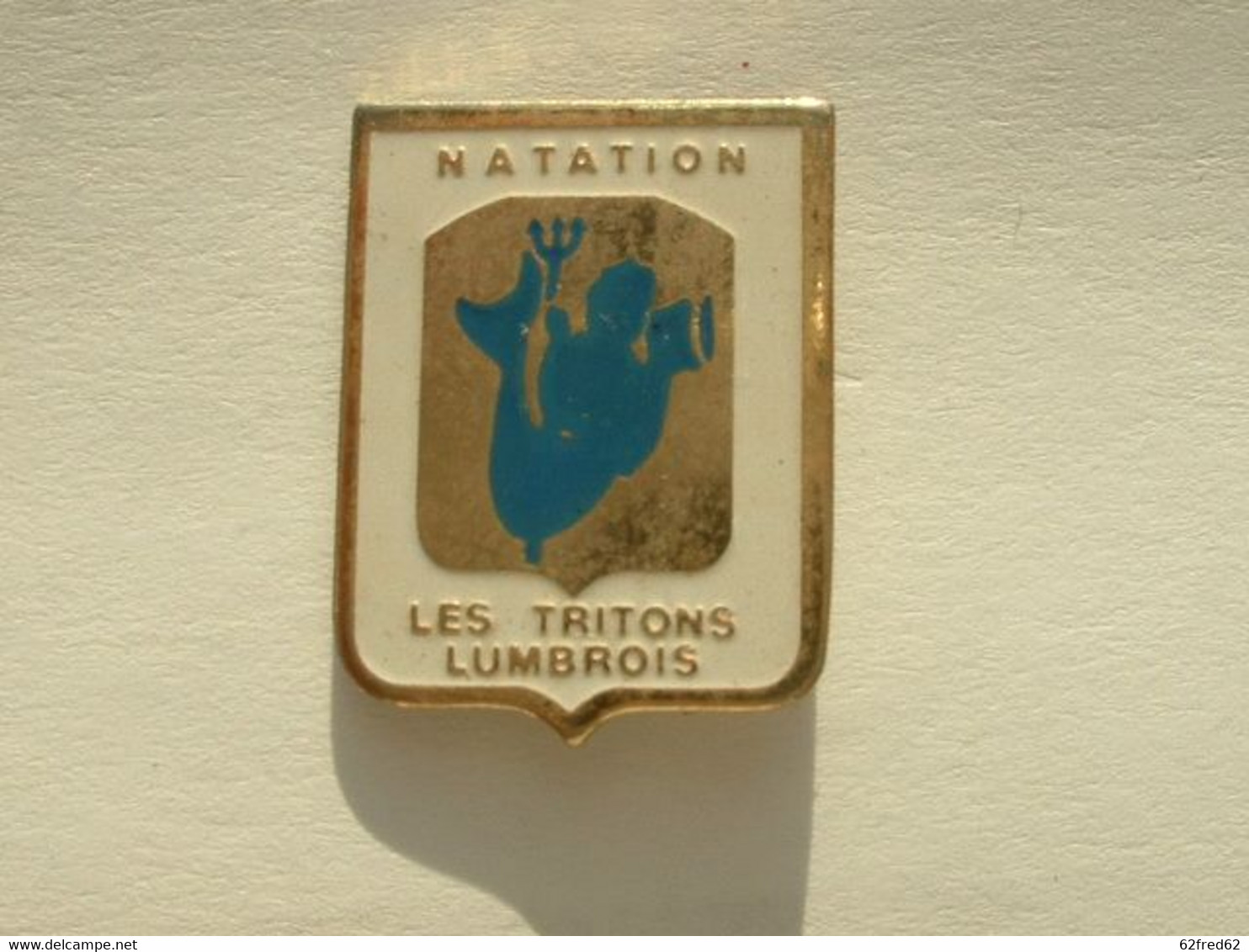 PIN'S NATATION - LES TRITONS LUMBROIS - Natation