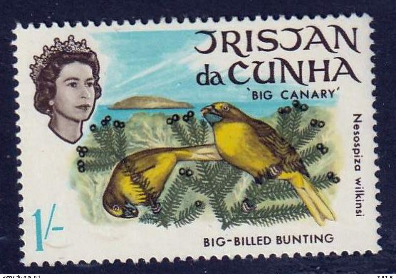 TRISTAN DA CUNHA - Faune, Oiseaux, "Starchy, Big Canary, Petrel, Gony", Effigie De La Reine - MNH - Tristan Da Cunha