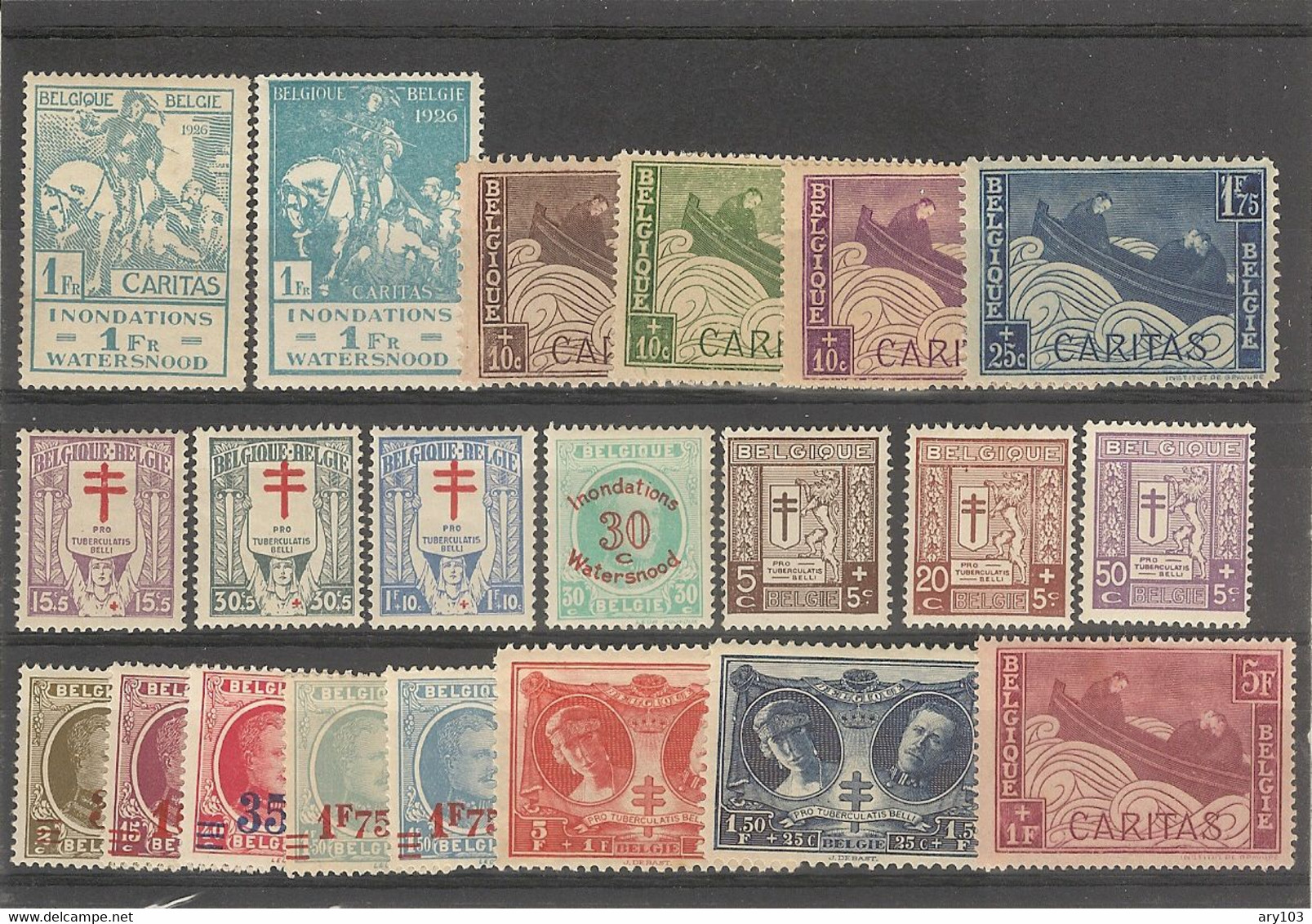 Belgique - (1925 ) N° 234 / 253 - Other & Unclassified