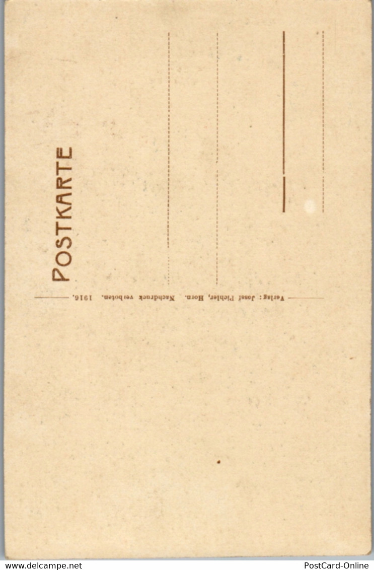 9017 - Niederösterreich - Rosenburg - Nicht Gelaufen 1916 - Rosenburg