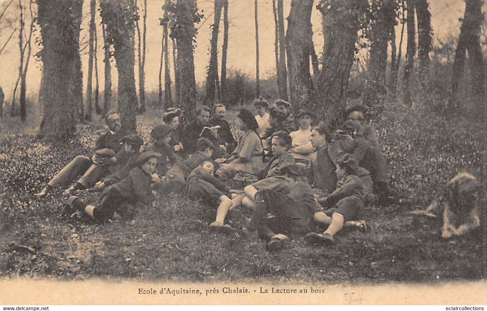 Chalais            16       Ecole D'Aquitaine. La Lecture Au Bois      (voir Scan) - Otros & Sin Clasificación