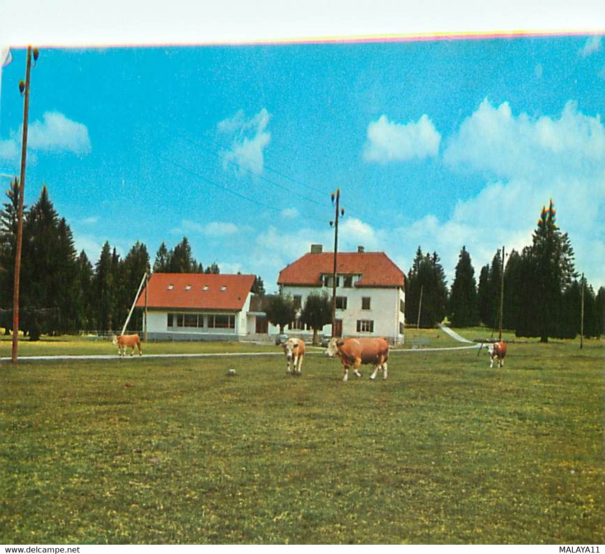 CPM - SUISSE - JURA - MURIAUX - LES EMIBOIS - MAISON DE VACANCES DE BONCOURT - Muri