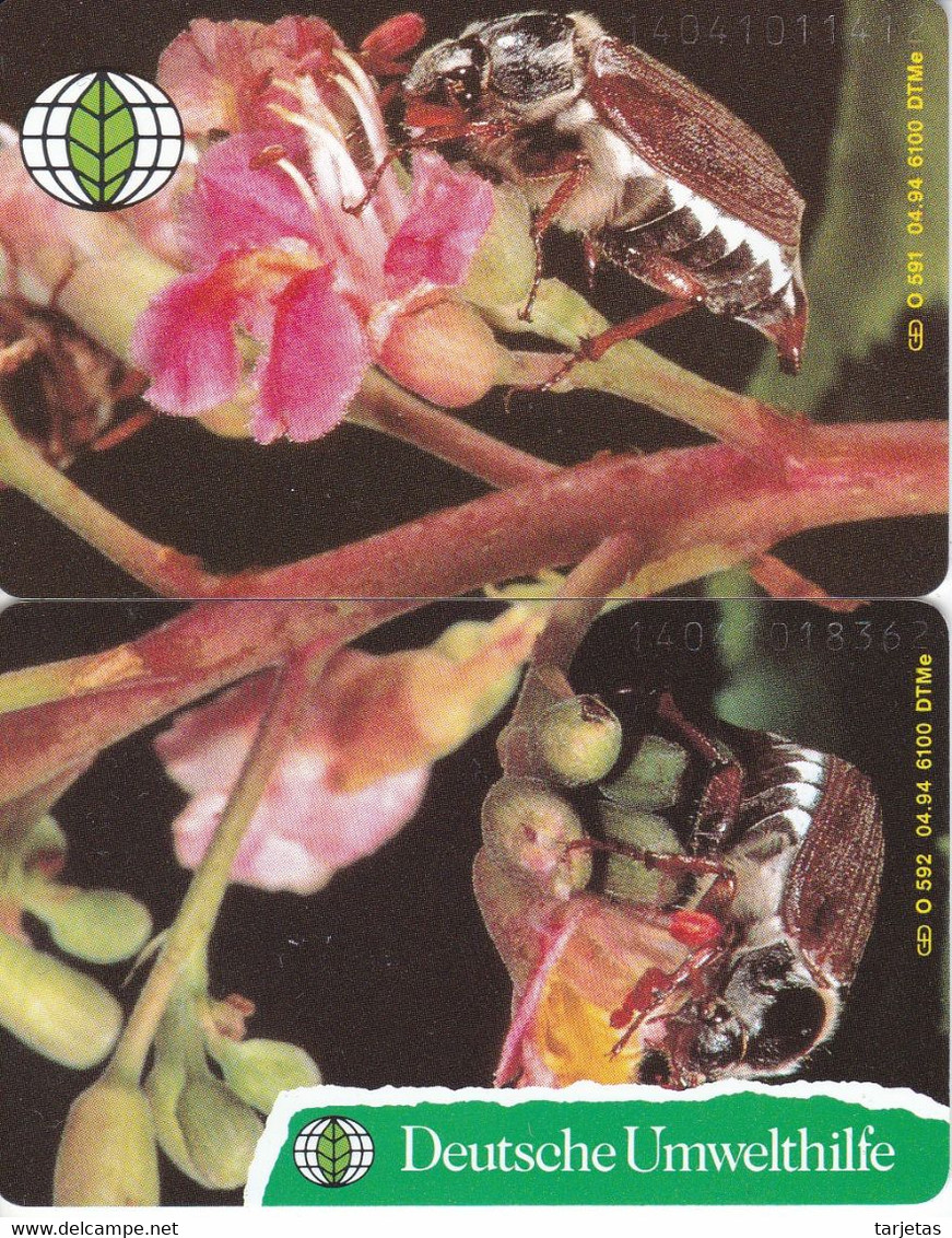 PUZZLE DE 2 TARJETAS DE ALEMANIA DE UNOS ESCARABAJOS (DEUTSCHE UMWELTHILFE) INSECT-ESCARABAJO - Other & Unclassified