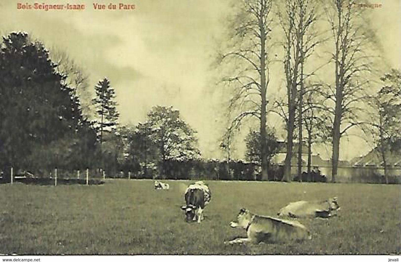 CPA/PK  -  BOIS-SEIGNEUR-ISAAC   -  Vue Du Parc - Braine-l'Alleud