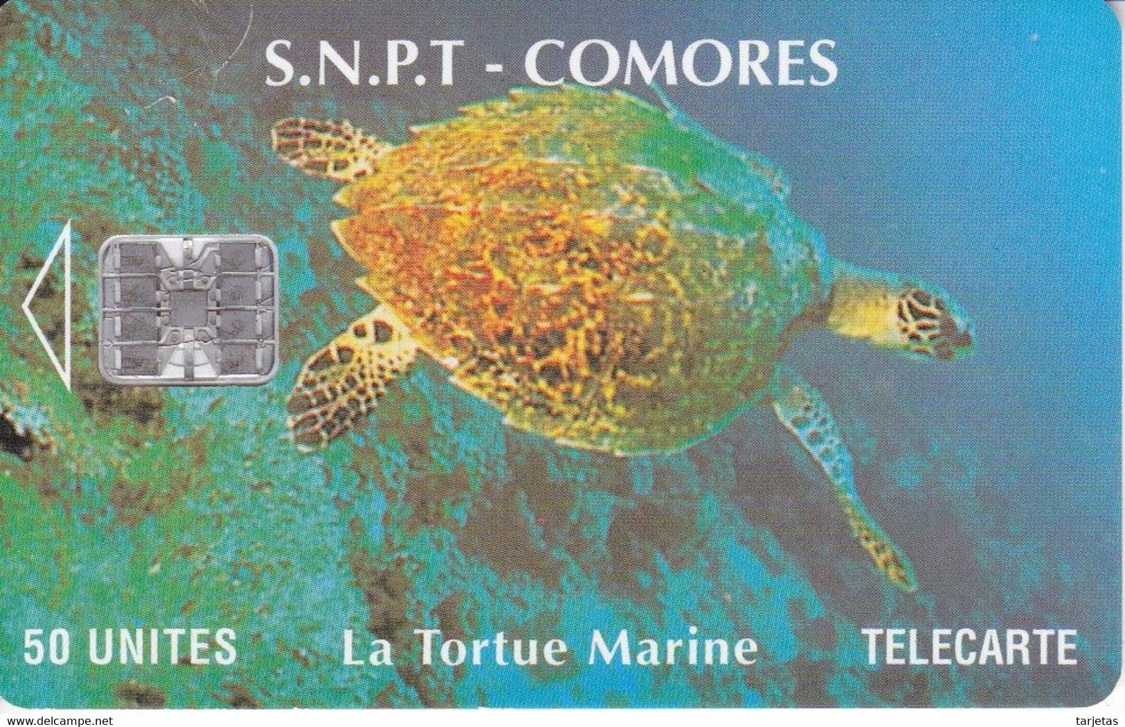 TARJETA DE COMORES DE UNA TORTUGA  (TORTUE-TURTLE) - Comoros