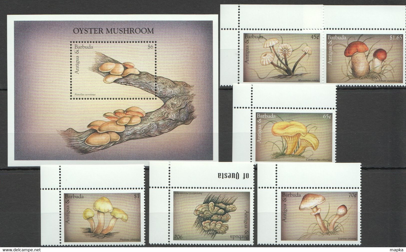 A319 ANTIGUA & BARBUDA FLORA NATURE MUSHROOMS 1BL+1SET MNH - Orchideen