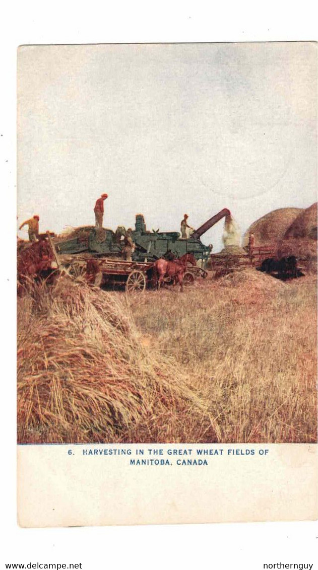 Manitoba, Canada, "Harvesting In The Great Wheat Fields Of Manitoba, Canada", 1908 Postcard - Sonstige & Ohne Zuordnung