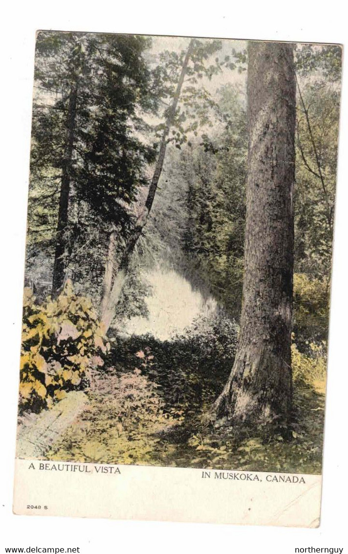 Muskoka, Ontario, Canada. "A Beautiful Vista". Pre-1915 Postcard, Warwick Bros & Rutter Advertising Postcard - Muskoka