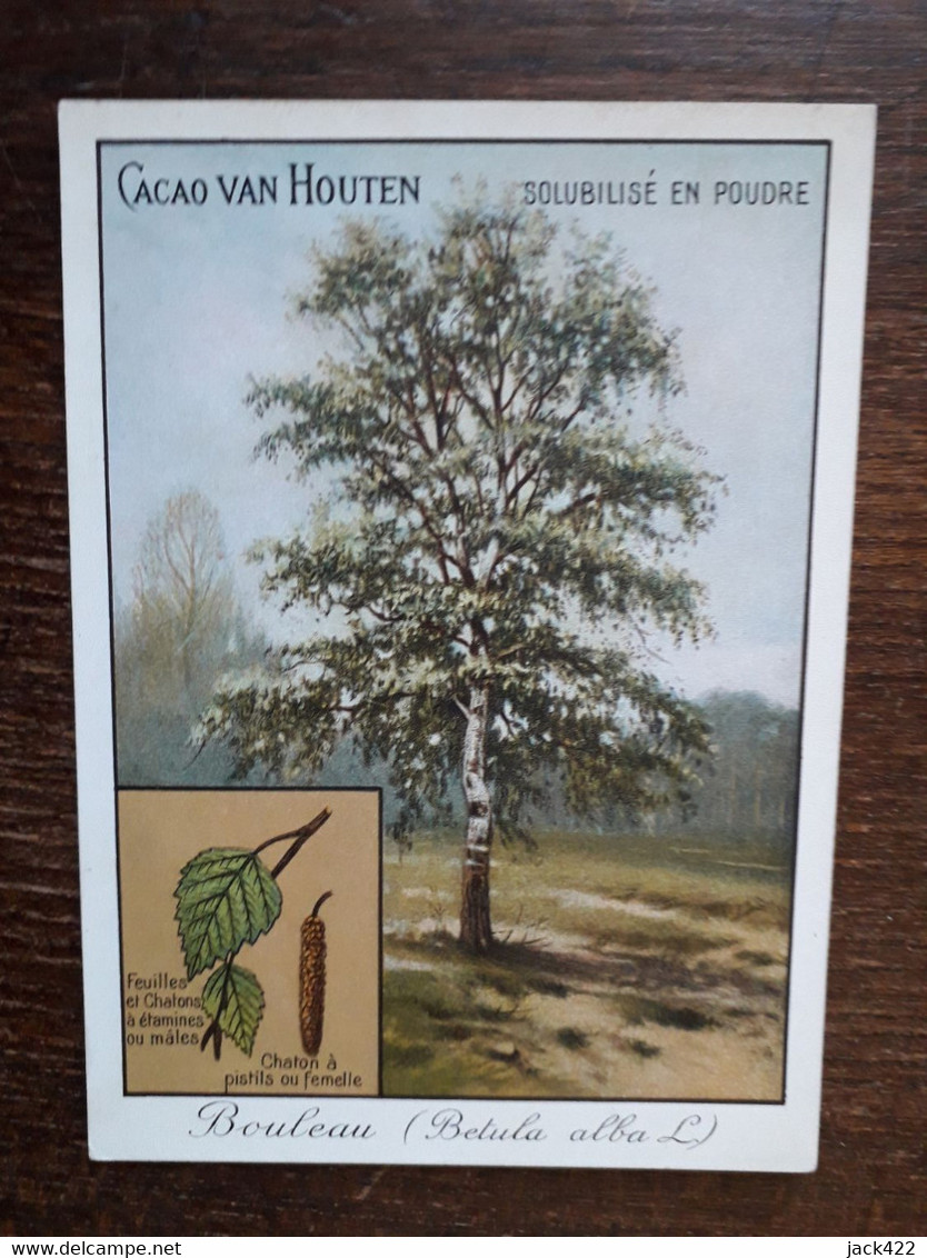 L34/1277 Chromo Grand Format Cacao Van Houten . Le Bouleau - Van Houten