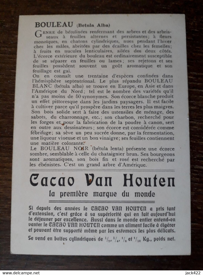 L34/1277 Chromo Grand Format Cacao Van Houten . Le Bouleau - Van Houten