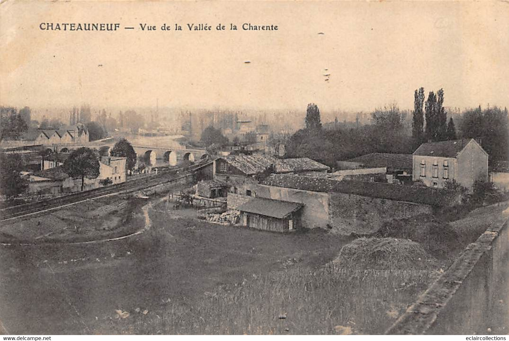 Chateauneuf Sur Charente        16         Vue De La Vallée De Charente       (voir Scan) - Chateauneuf Sur Charente