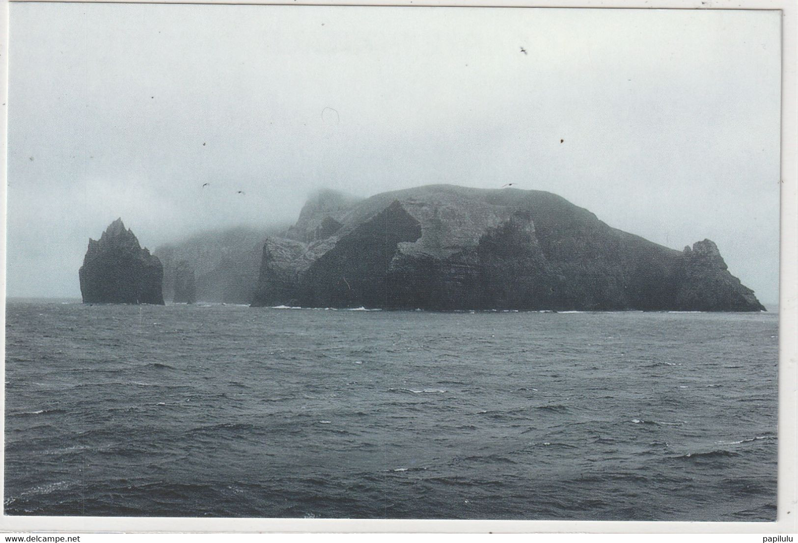 FRANCE TAAF : Île Des Pingouins Archipel Des Crozet , Photo Gilles Troispoux - TAAF : Franz. Süd- Und Antarktisgebiete