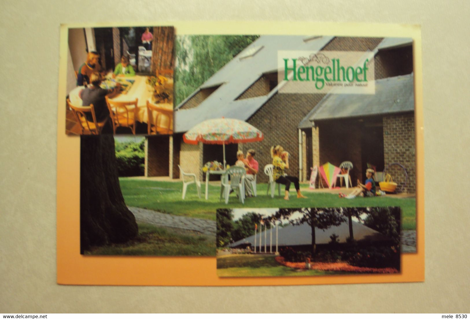 42671 - HOUTHALEN-HELCHTEREN - DOMEIN HENGELHOEF - 3 ZICHTEN - ZIE 2 FOTO'S - Houthalen-Helchteren