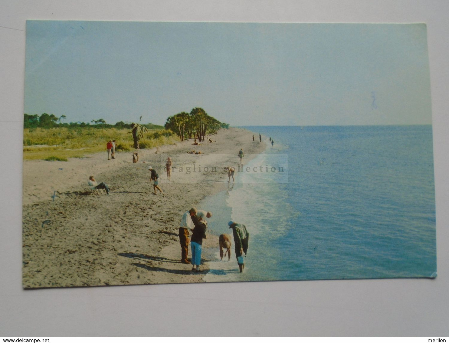 D178242    VENICE - Beautiful Venice Beach   - Florida - Venice