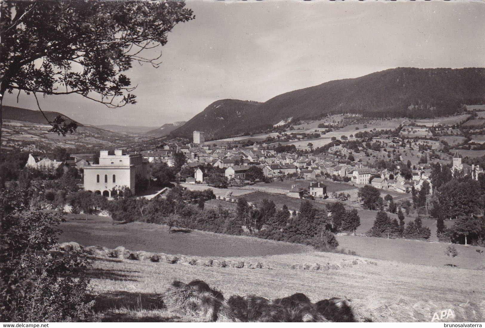 CHANAC - Vue Générale Et Panoramique - Chanac