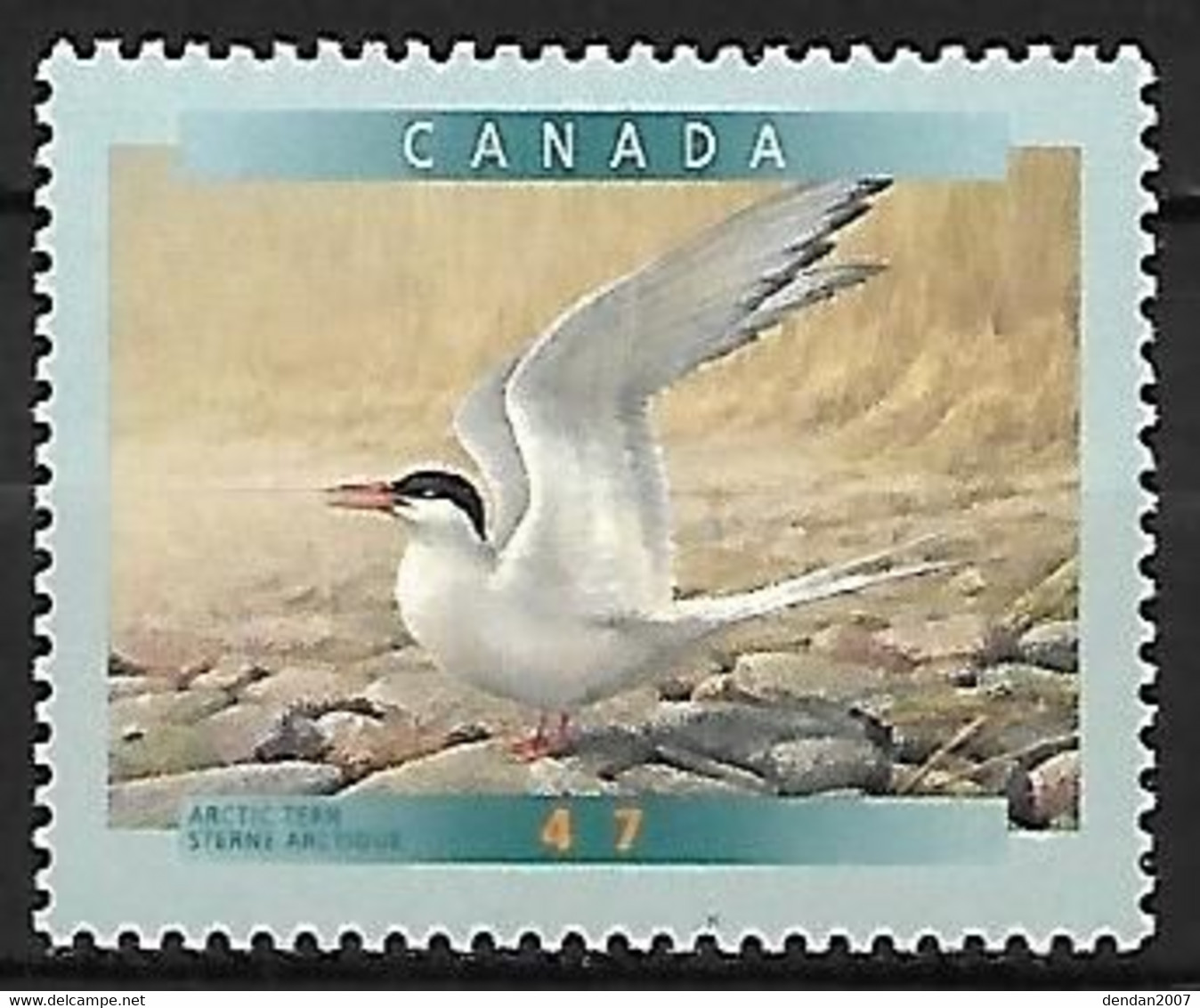 Canada - MNH ** 2001 :   Arctic Tern    Sterna Paradisaea - Mouettes