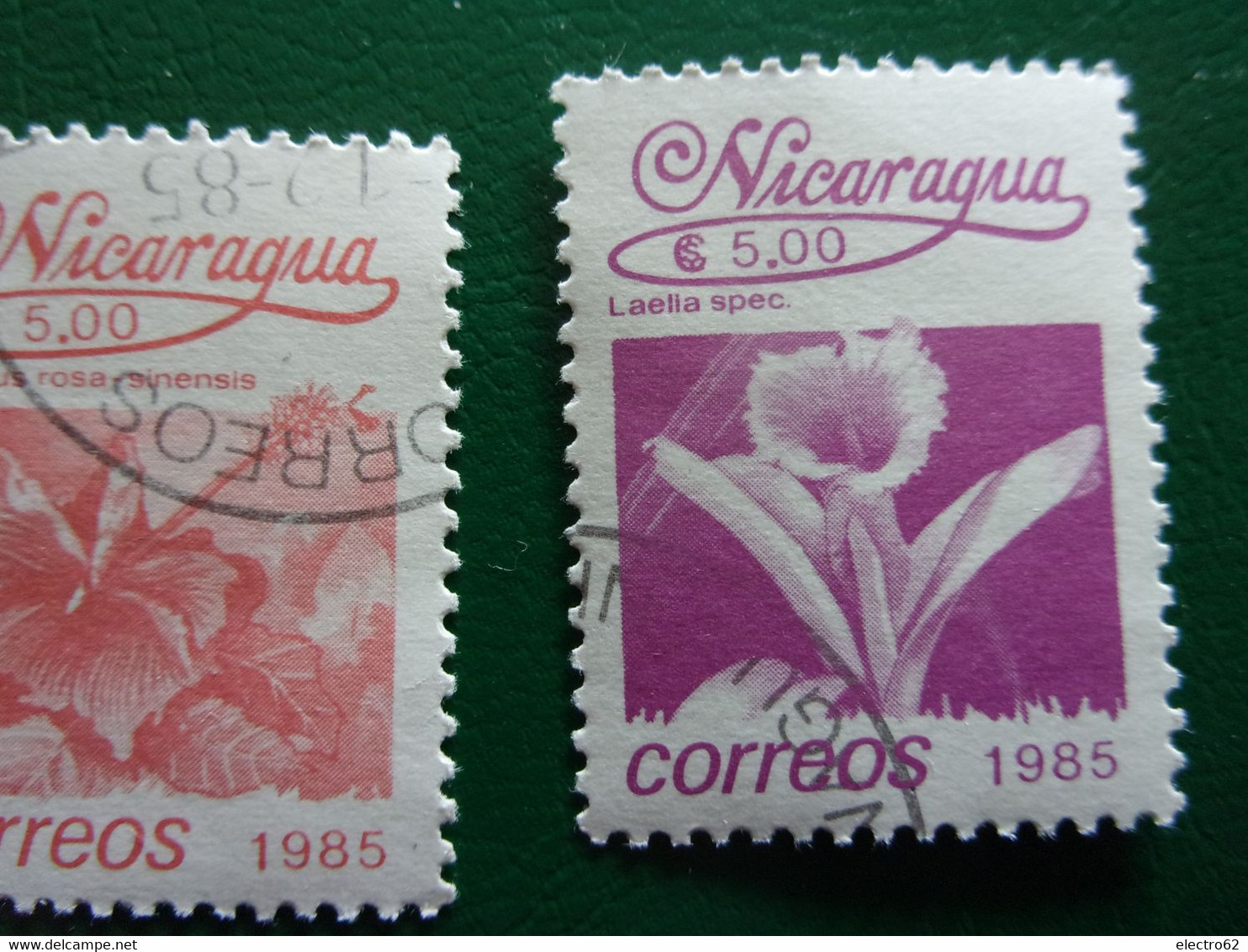 Nicaragua fleurs 1985 fleur flower fiore blume flor blomma kukka